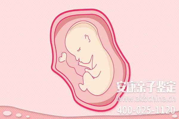 长春胎儿亲子鉴定5周，DNA鉴定无创胎儿过程 
